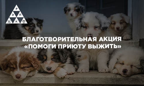 Благотворительная акция «Помоги приюту выжить»