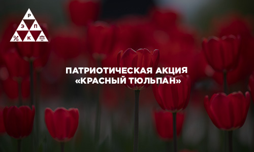 Патриотическая акция «Красный тюльпан»